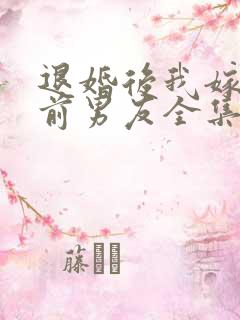 退婚后我嫁给了前男友全集