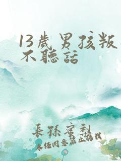 13岁男孩叛逆不听话