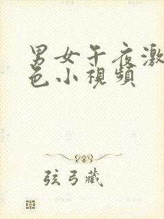 男女午夜激情黄色小视频