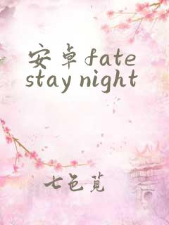 安卓fate stay night