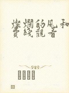 灿烂的风和海免费线观看