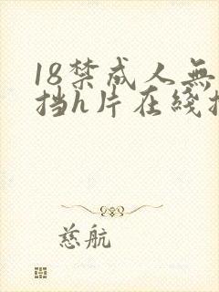 18禁成人无遮挡h片在线播放