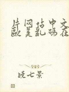 片网站中文亚洲欧美乱码在线观看