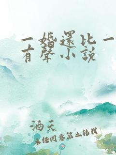 一婚还比一婚高有声小说