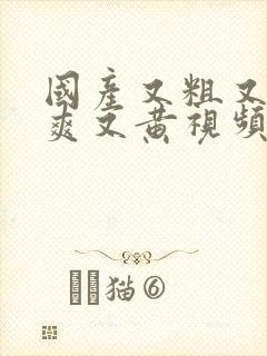 国产又粗又猛又爽又黄视频