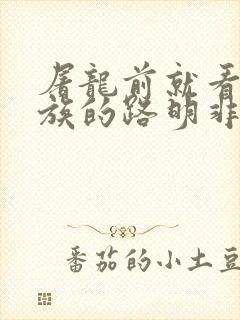 屠龙前就看了龙族的路明非 小说