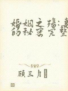 婚姻之殇:妻子的秘密完整版