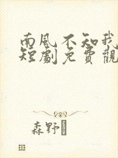 南风不知我情深短剧免费观看