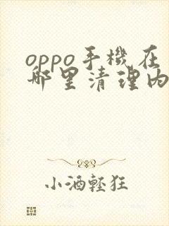 oppo手机在哪里清理内存垃圾