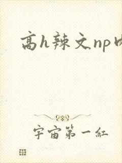 高h辣文np肉