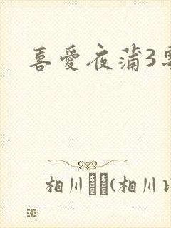 喜爱夜蒲3粤语