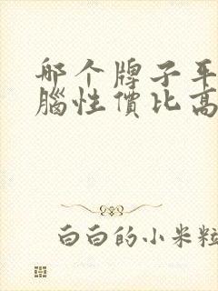 哪个牌子平板电脑性价比高又好用