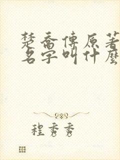 楚乔传原著小说名字叫什么