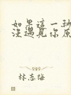 如果这一秒,我没遇见你原著