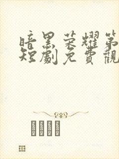 暗黑荣耀第二季短剧免费观看