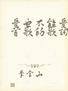 爱也不能爱是哪首歌的歌词
