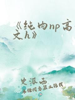 《纯肉np高辣文h》
