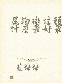 属狗微信头像用什么最好最吉利