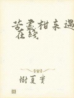 苦尽柑来遇见你 在线