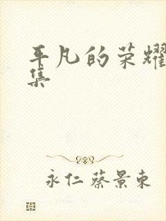 平凡的荣耀36集