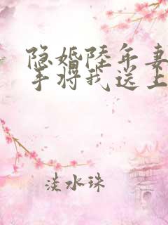 隐婚陆年妻子亲手将我送上全文在线阅读
