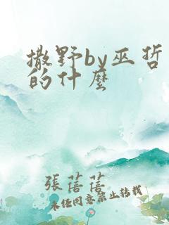 撒野by巫哲讲的什么