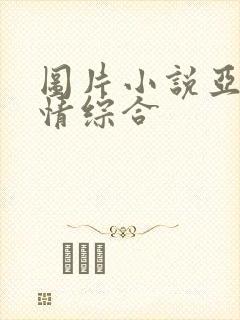 图片小说亚洲激情综合