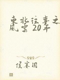 东北往事之黑道风云 20年