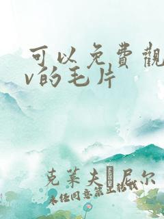 可以免费观看av的毛片