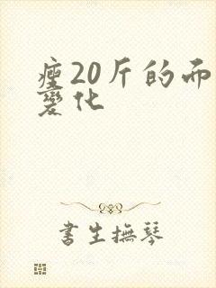 瘦20斤的面部变化