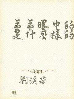 弟弟眼中的姐姐是什么样的