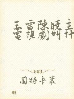 王雷陈晓主演的电视剧叫什么名字