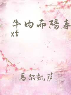 牛肉面阳春面txt