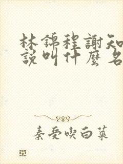 林锦程谢知意小说叫什么名字