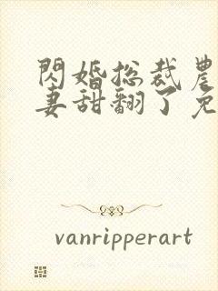 闪婚总裁农村娇妻甜翻了免费