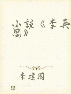 小说《李兵与沈思》