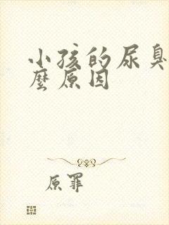 小孩的尿臭是什么原因