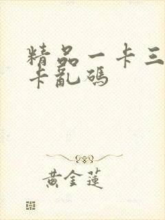 精品一卡三卡4卡乱码