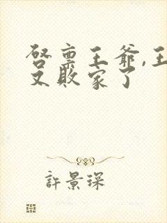 启禀王爷,王妃又败家了