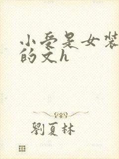 小受是女装大佬的文h