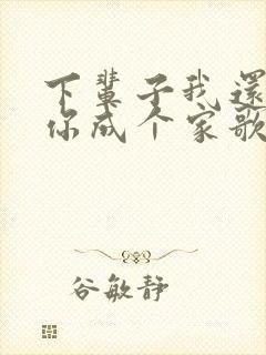 下辈子我还要和你成个家歌词