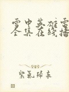 雪中英雄电视剧全集在线播放