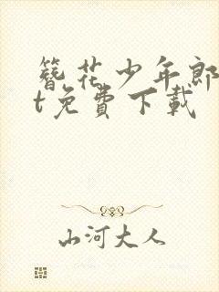 簪花少年郎txt免费下载