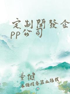 定制开发企业app公司