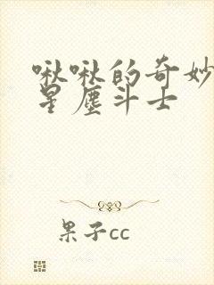 啾啾的奇妙冒险星尘斗士