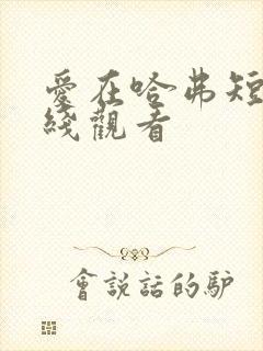 爱在哈弗短剧在线观看