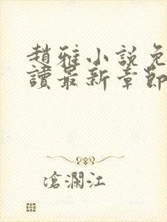 赵雅小说免费阅读最新章节