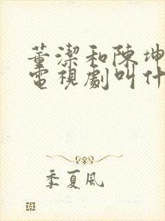 董洁和陈坤演的电视剧叫什么名字