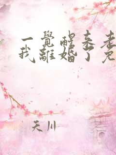 一觉醒来老婆和我离婚了免费阅读