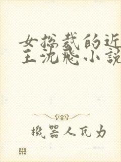 女总裁的近身兵王沈飞小说